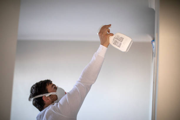 Best Crawl Space Mold Removal  in Wayne, IL